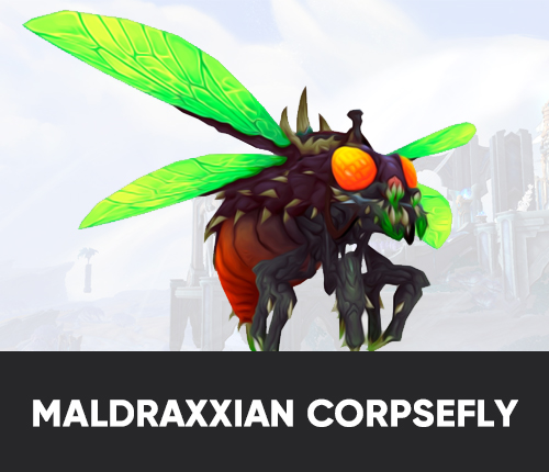 MALDRAXXIAN CORPSEFLY MOUNT